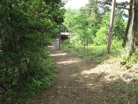 20140524hike (281)